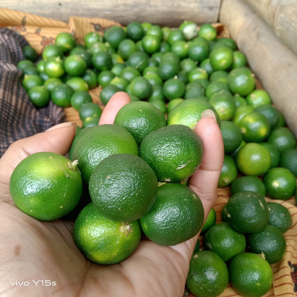 1kg jeruk sonkit/jeruk peras/jeruk kasturi/ukuran besar-besar