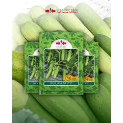 Wulan 97 F1 benih mentimun hibrida