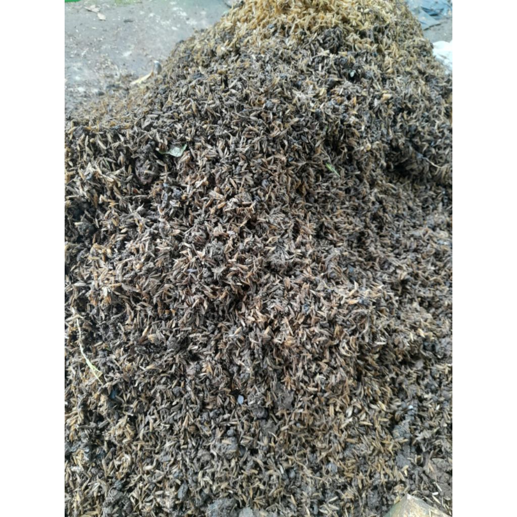 sekam bakar, tanah merah, pupuk kandang, serutan kayu