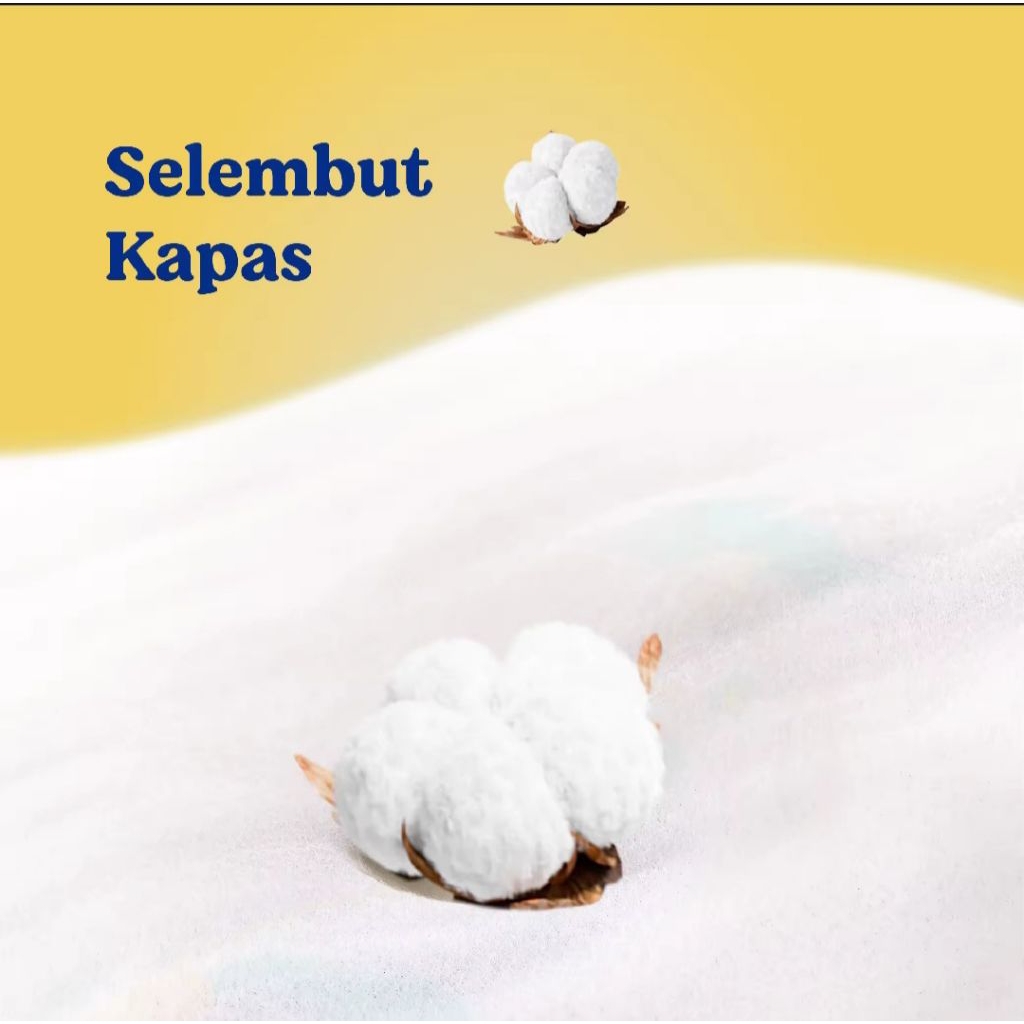 Sweety Bronze Dry Expert Pants M-48