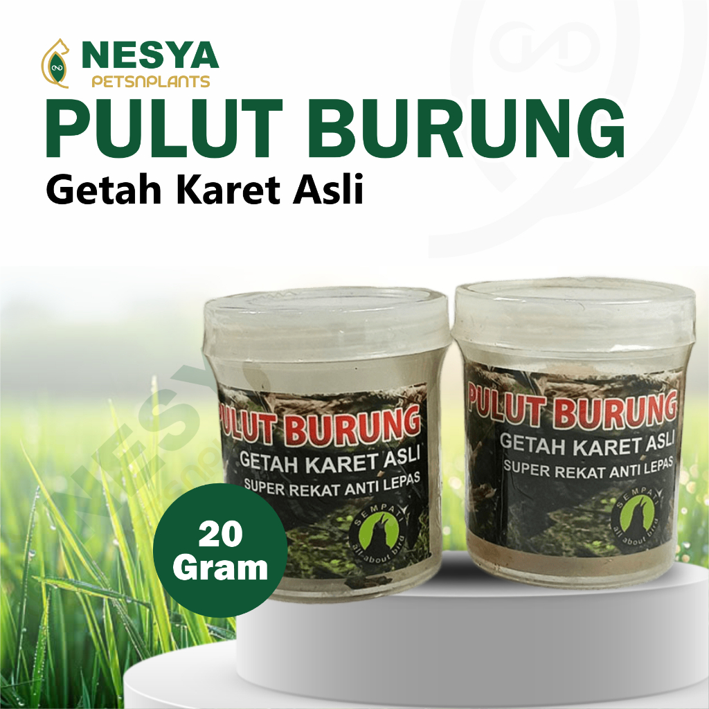 Pulut Burung 20cc Isi Getah Karet Asli Pulut Burung Lem Super Lengket Lem Jebakan Burung