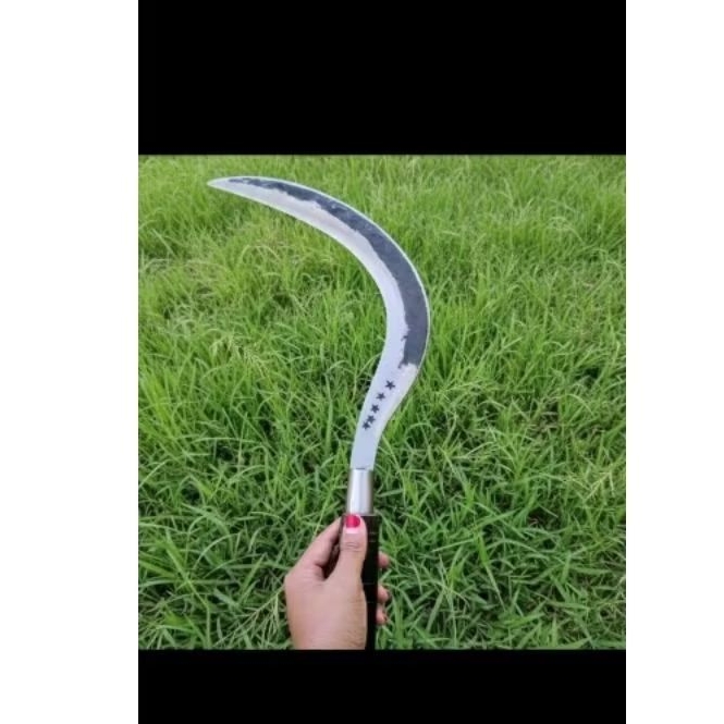 arit rambanan asli bintang' 5 ORI madura