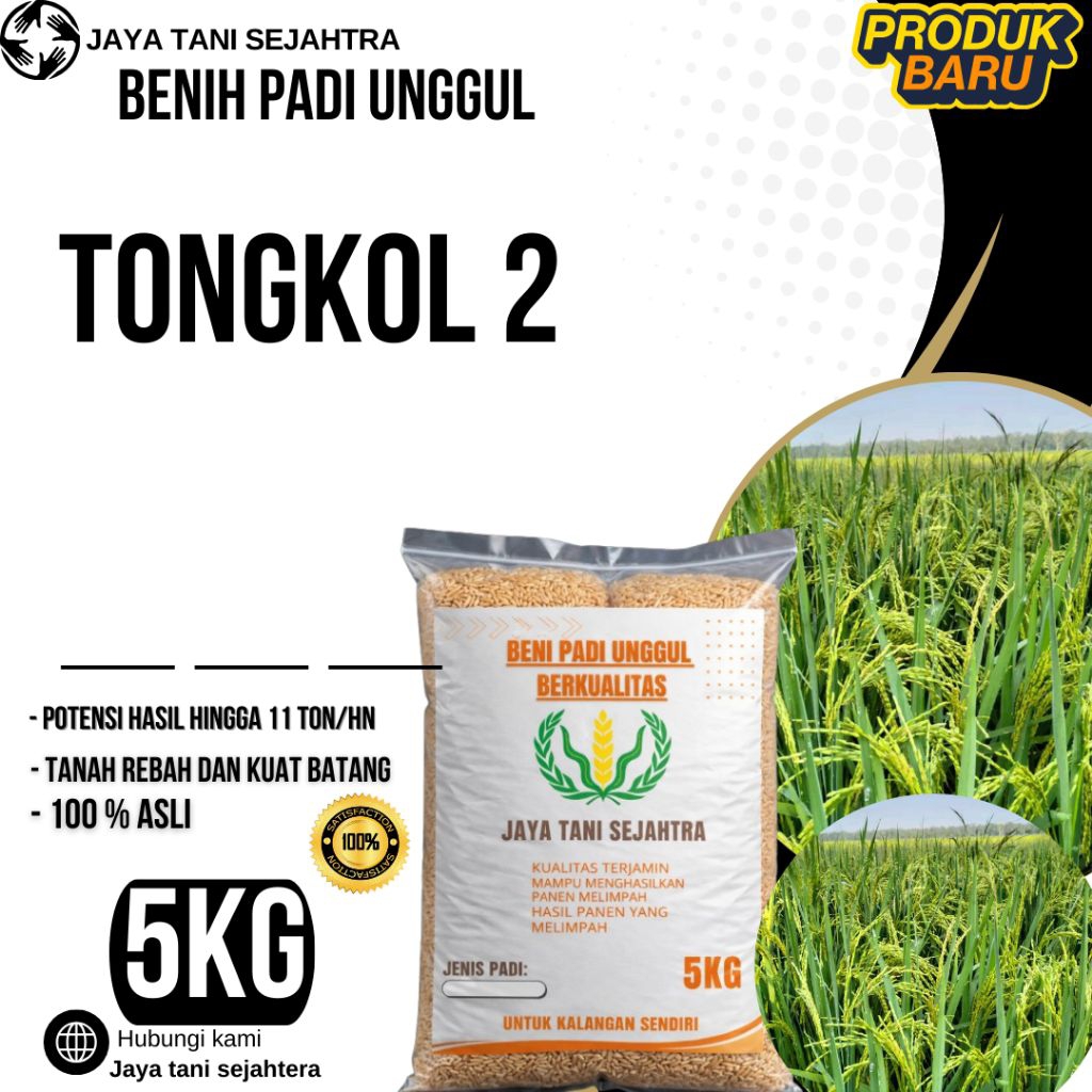 BENIH PADI UNGGUL TONGKOL 2 KEMASAN 5KG BERKUALITAS