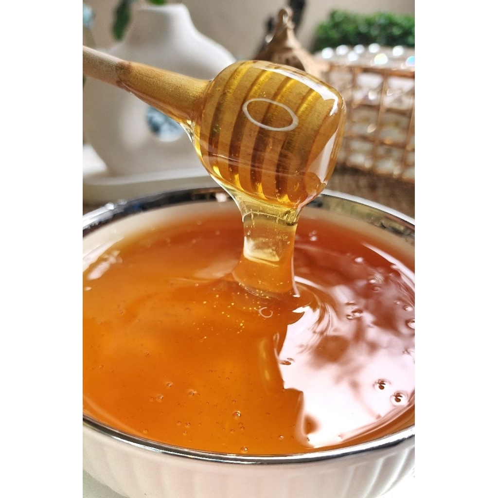 PROMO GROSIR ±7KG MADU YAMAN SIDR FAKHIR MALAKI (GALON) SUPER PREMIUM SIDR MADU TERBAIK SIDR SULTAN 