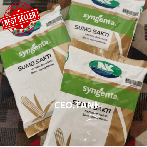 BETS SELLER Benih Jagung NK Sumo Sakti 7328 / Benih Jagung Sumo Sakti