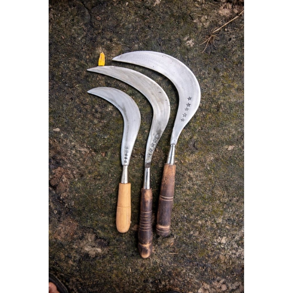 arit rumput sabit ranting pelong mini baja asli