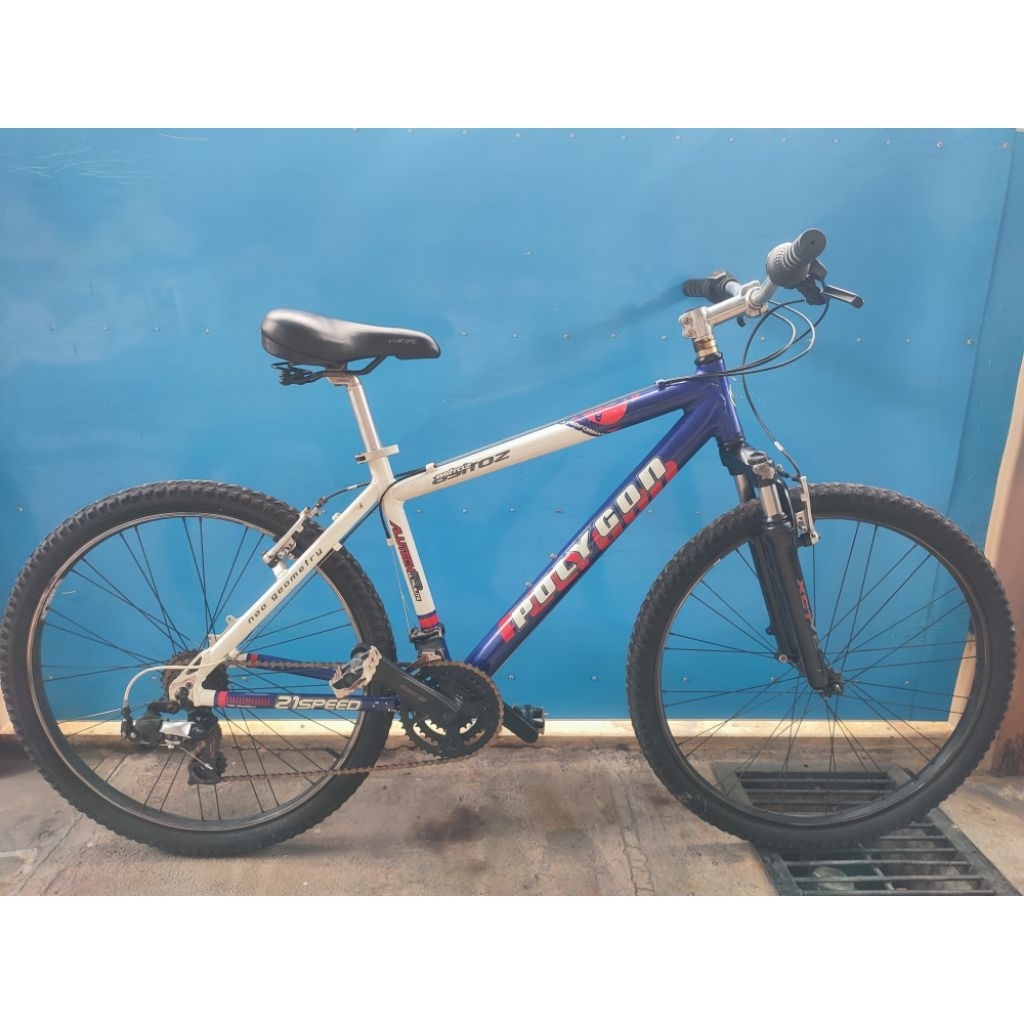 Sepeda MTB Polygon Astroz Premium Neo Geometry