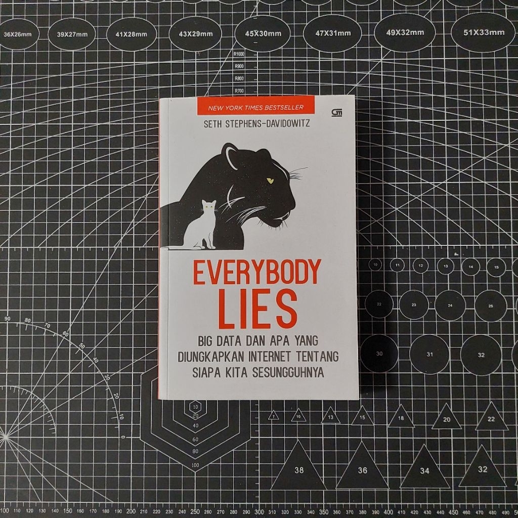 PRELOVED BOOK - Buku Everybody Lies - Seth Stephens Davidowitz