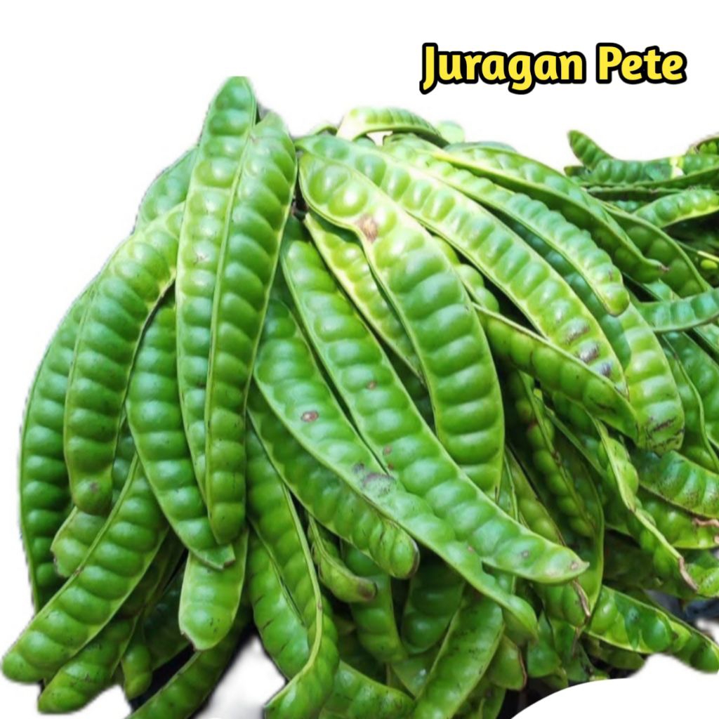 PETE SUPER GRADE A ISI 10 PAPAN/PETE SEGAR PILIHAN/PETE TUA/PETE MURAH/PETAI/SAYURAN SEGAR/PETE WONO