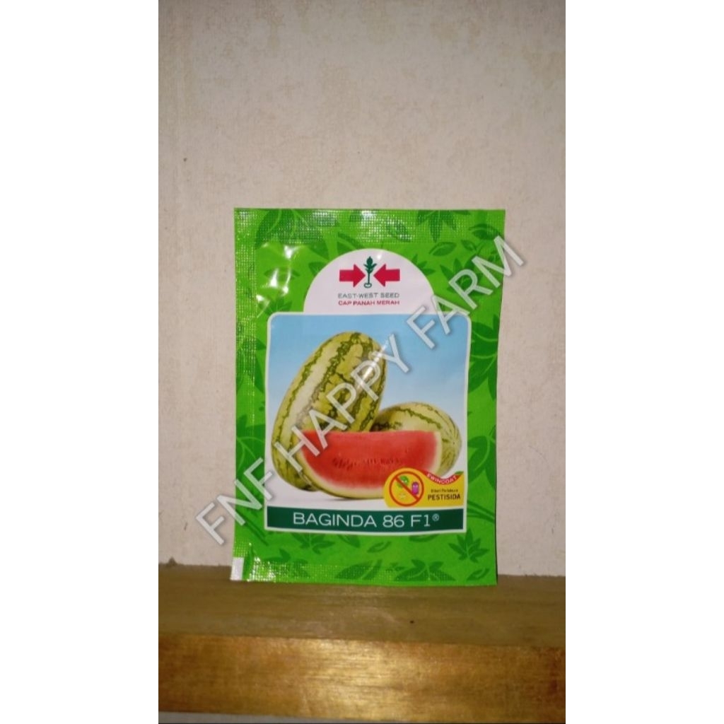 Semangka Baginda 86 isi 380btr