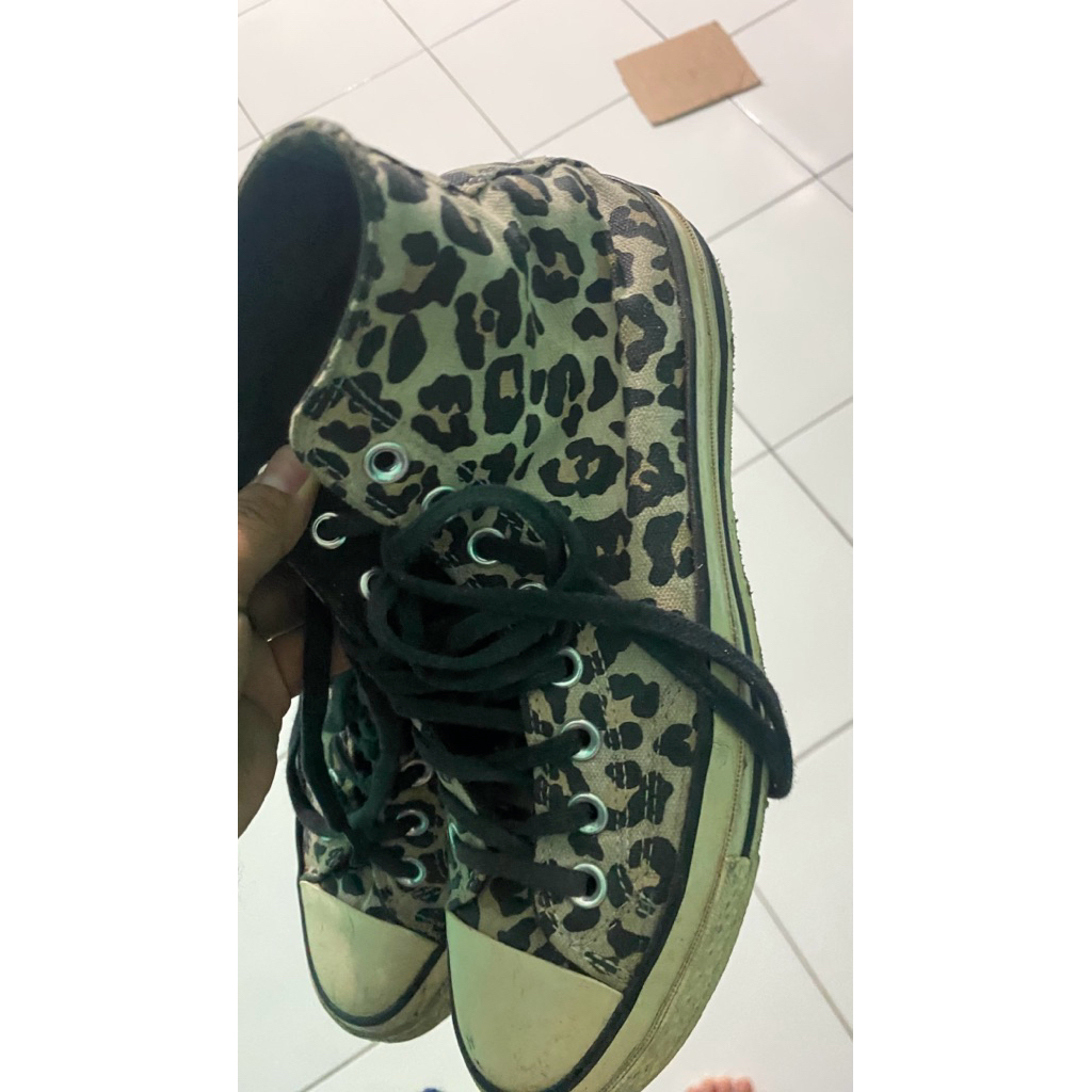 converse leopard 39.5 40