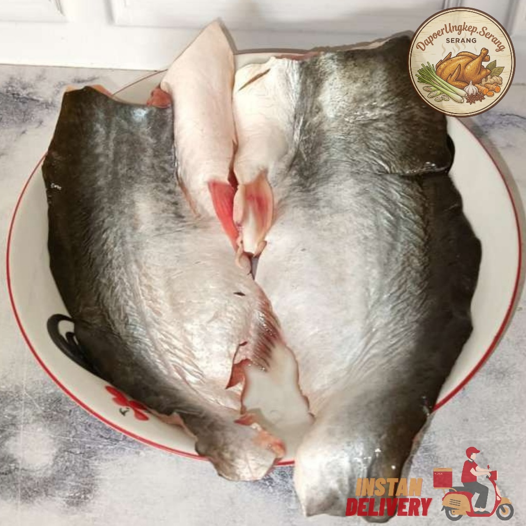 Ikan Patin Fillet -+280gr MP asi | Segar Dadakan