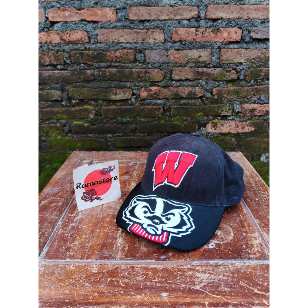 topi ncaa wisconsin badgers