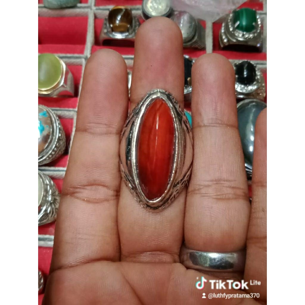 pandan merah natural 100%