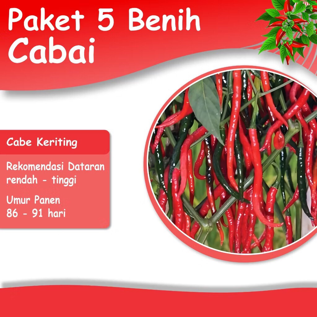 Paket Benih Cabe 5 Jenis Bibit Sayuran Cabai Merah Besar Keriting Rawit Hijau Rawit Putih Rawit Meru