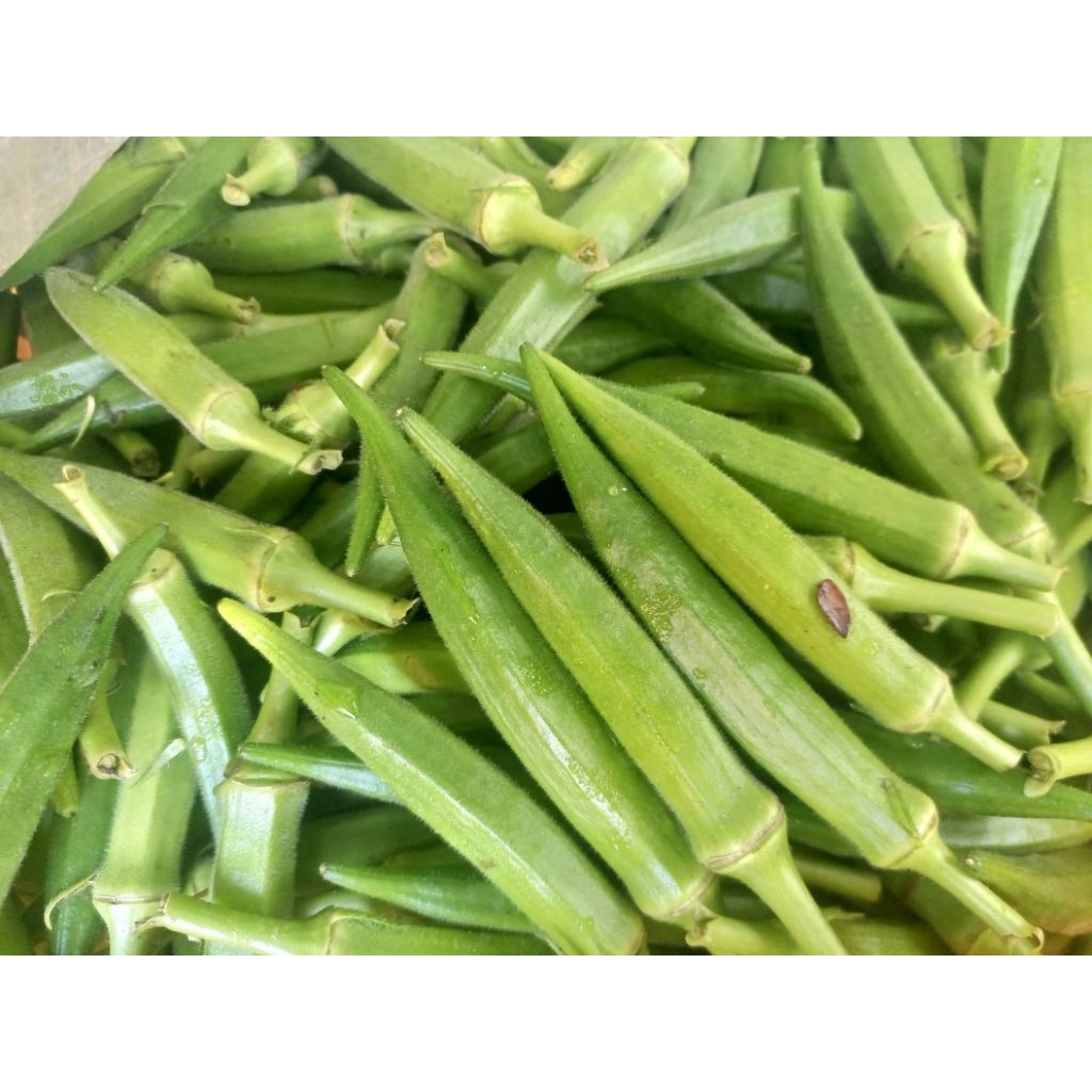 Sayur Okra
