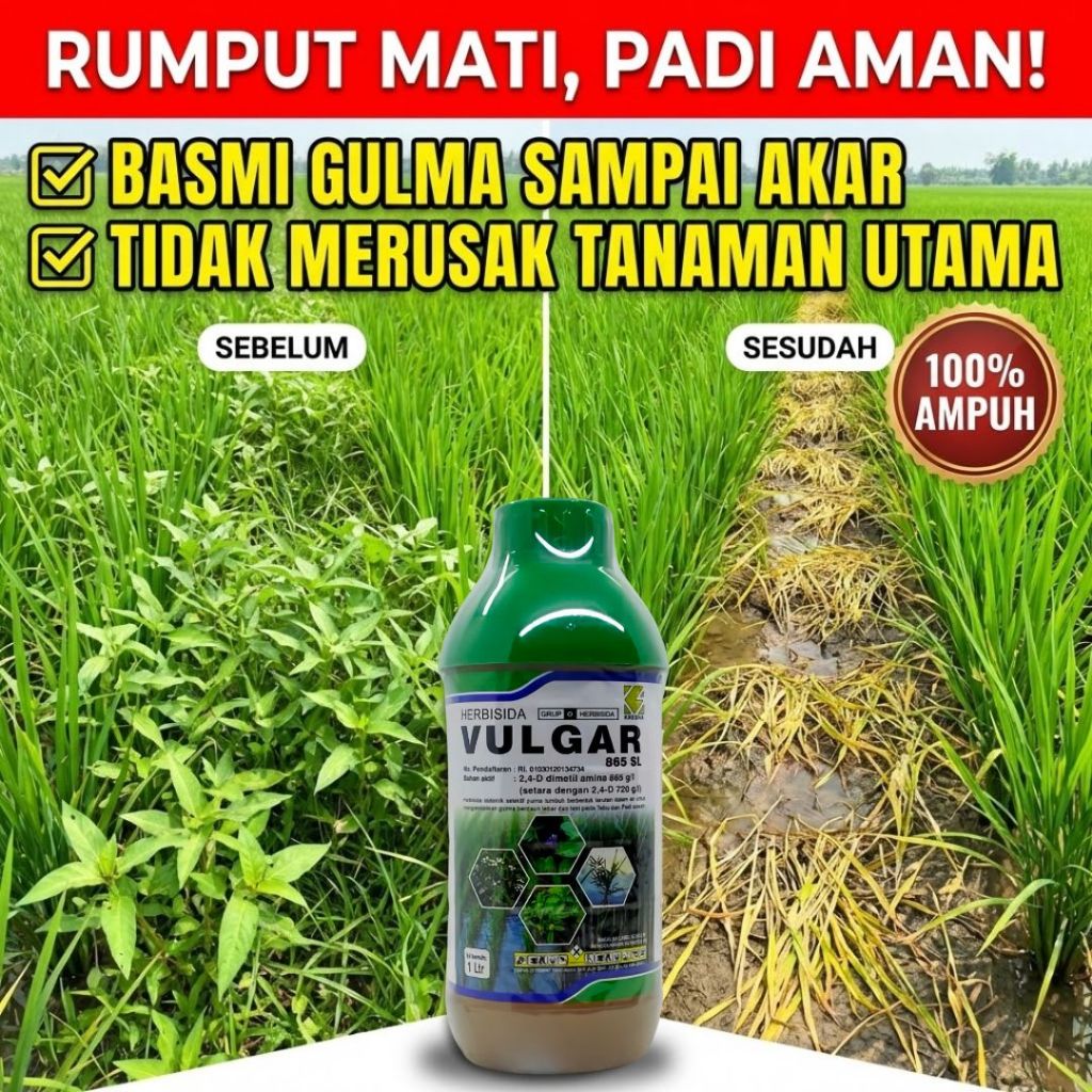 [RUMPUT MATI TOTAL] Herbisida VULGAR 865 SL 400ML, 1000ML | Racun Rumput Padi & Jagung | Obat Pembas