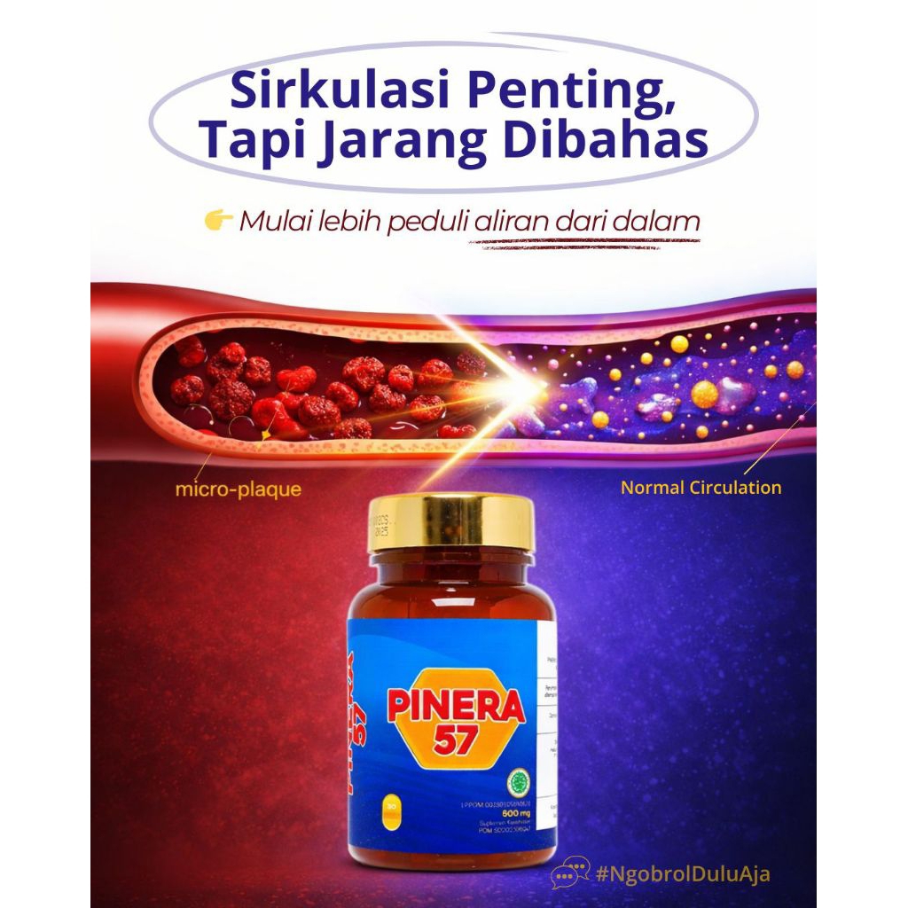 Pinus Merah Korea Pinera57