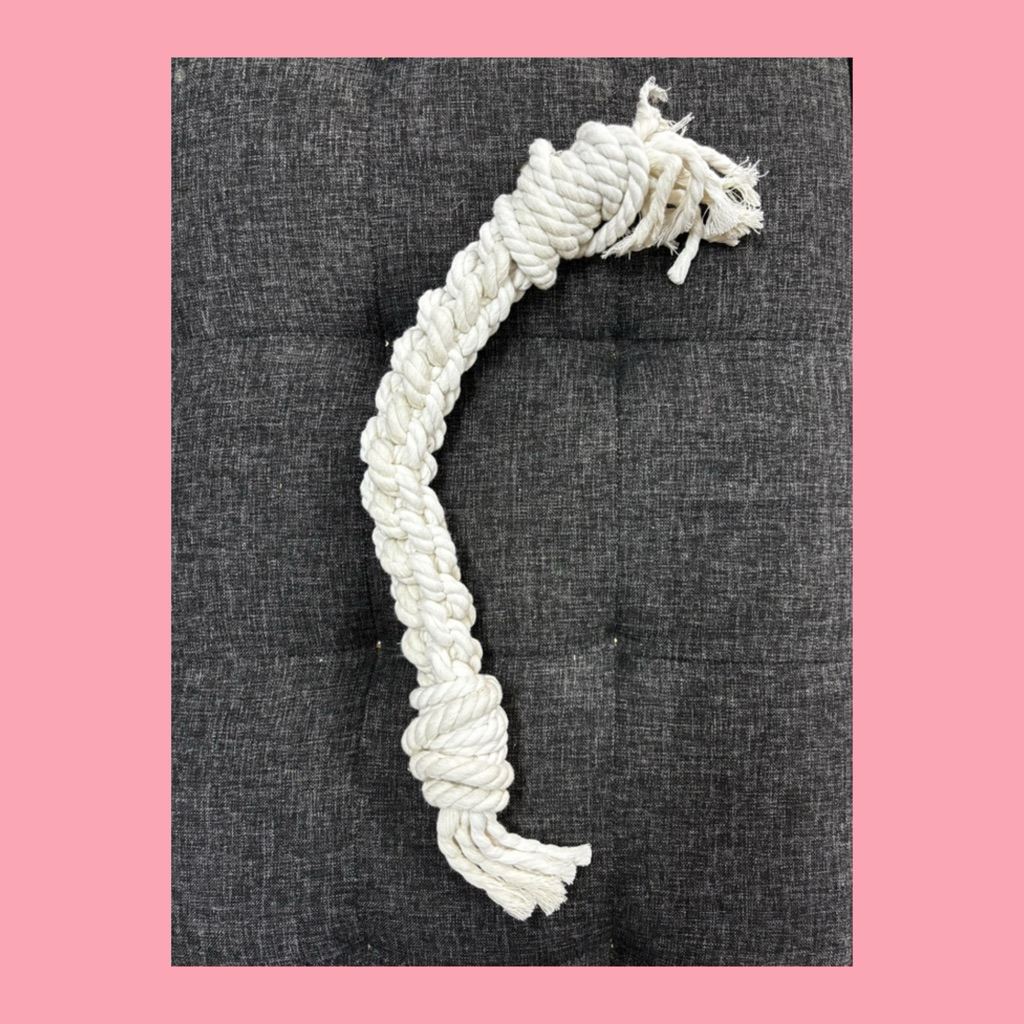 Toys Mainan Tali Parrot Burung Kakatua Macaw Conure