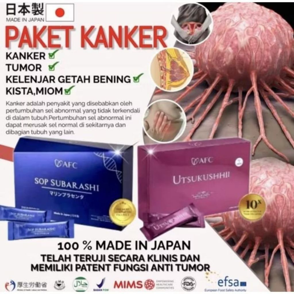 AFC Sop Subarashii Gold Utsukushhii Gold Hikari AFC Japan Original