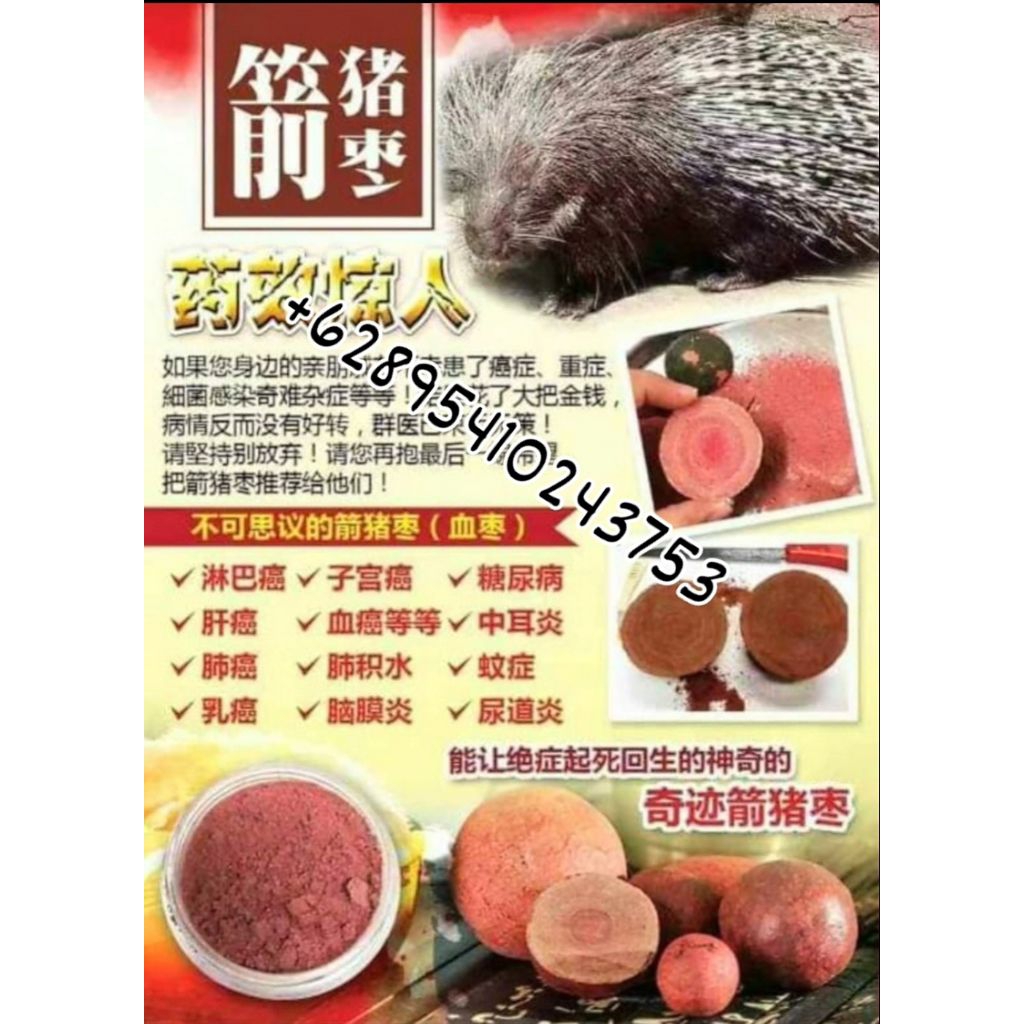 Geliga Batu Landak Herbal / Gram