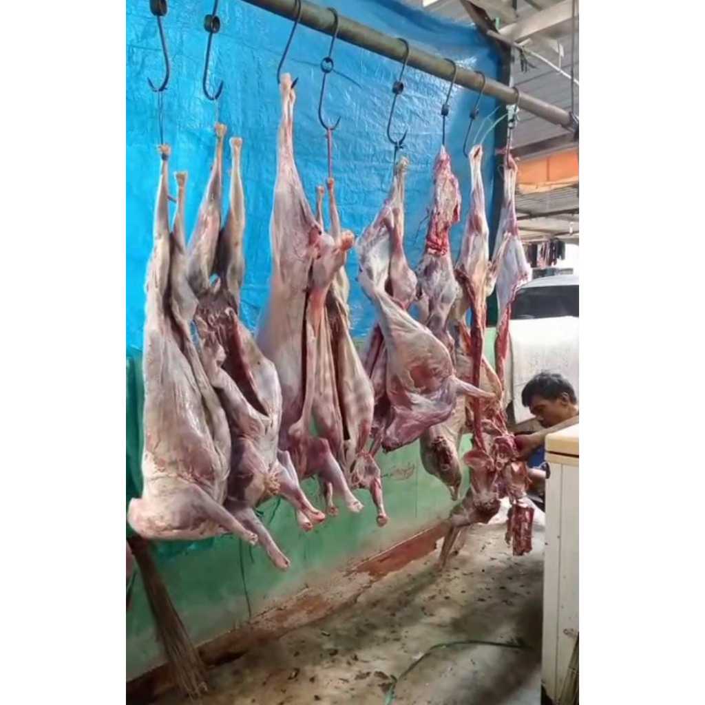Daging Kambing Karkas Fresh