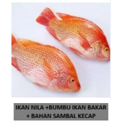 IKAN NILA +BUMBU IKAN BAKAR + BAHAN SAMBAL KECAP