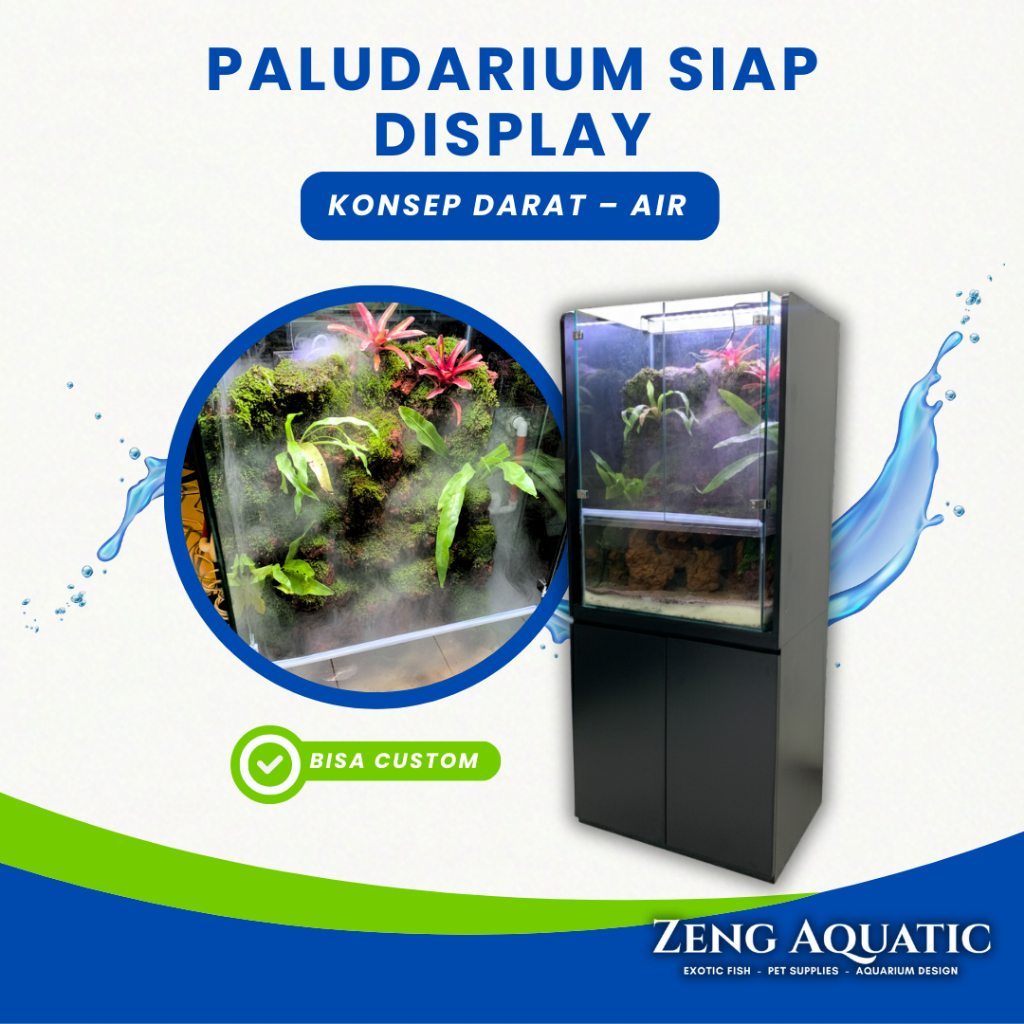 Paludarium Aquarium Darat Air 60x45x90 cm Paket Lengkap Kabinet & Scaping Aquascape Langsung Jadi Si