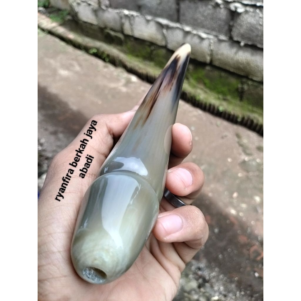 Pipa Once Tanduk Kerbau Super Jumbo Motif Burung Kualitas Terbaik