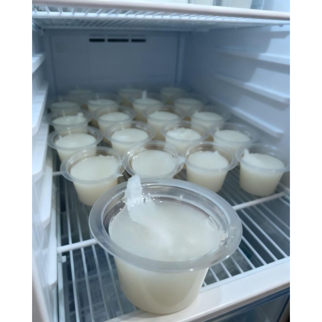 Puding kelapa muda Original Cup 50ml