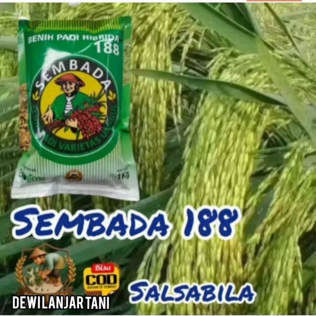BENIH PADI SEMBADA 188 KEMASAN 1KG