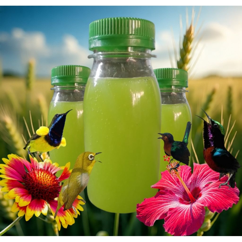 Nektar ++ gacor alami