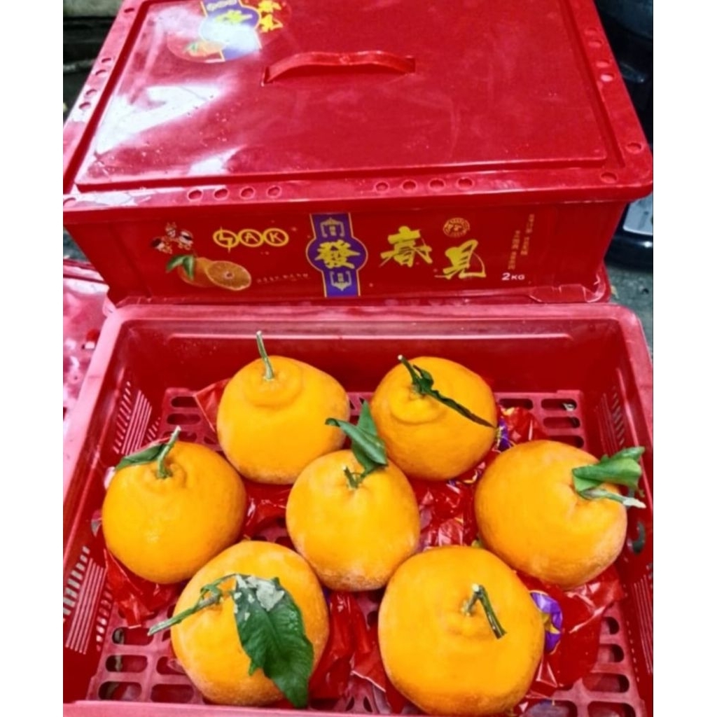 Jeruk Mandarin Chunjian Special Imlek Box 2 Kg
