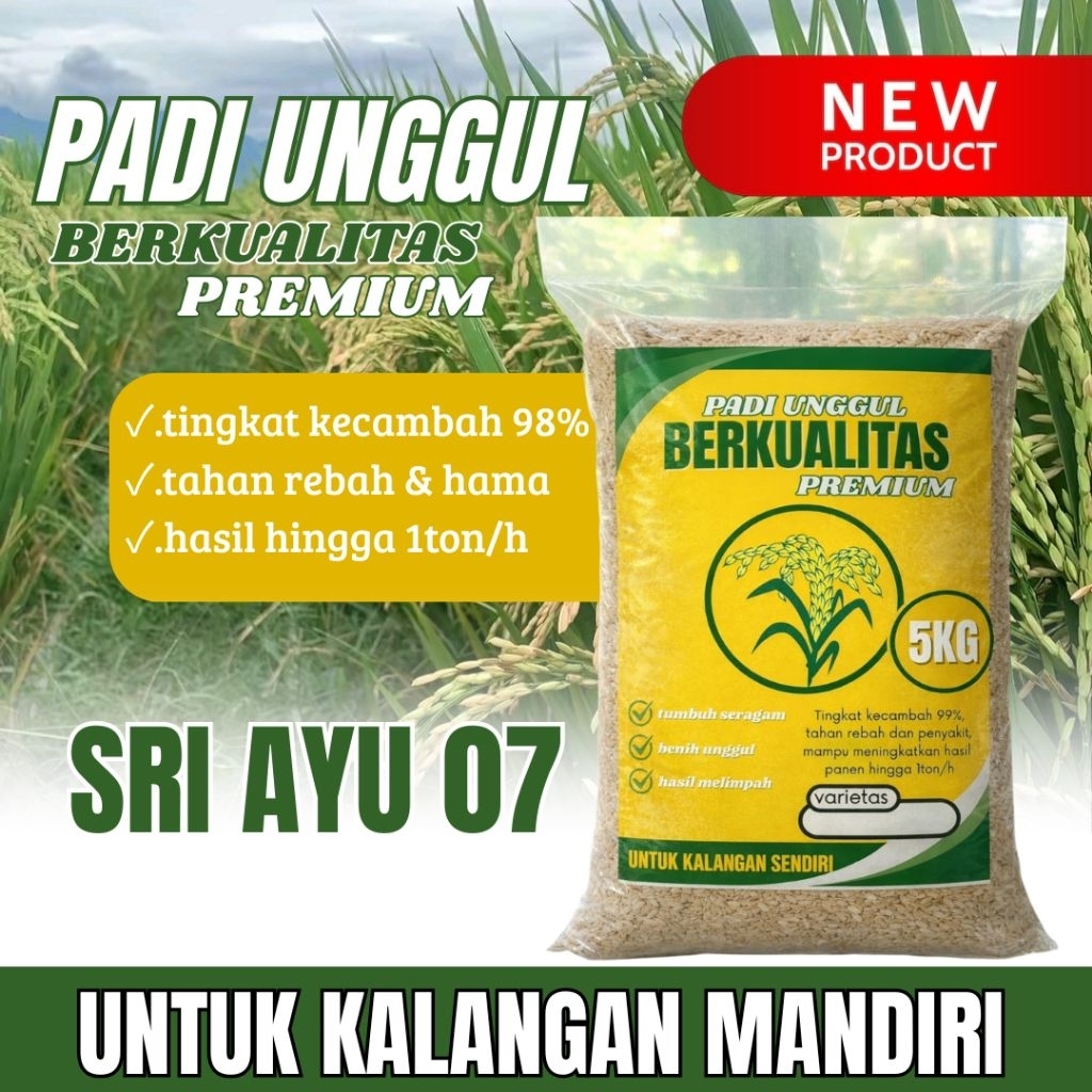 BENIH PADI UNGGUL SRI AYU 07 ORIGINAL 5KG PREMIUM QUALITY
