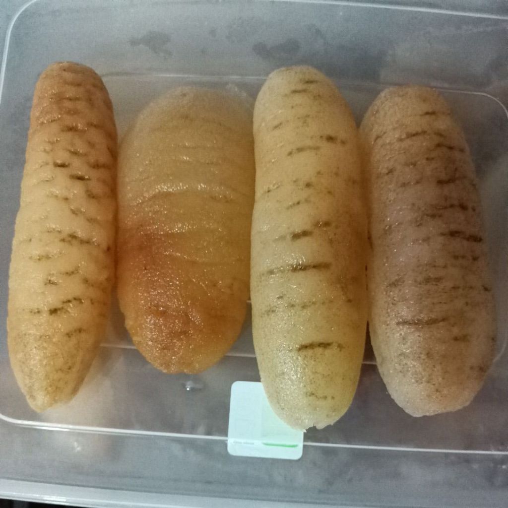 Hoisem haisom teripang asli belitung GRADE A 500gr