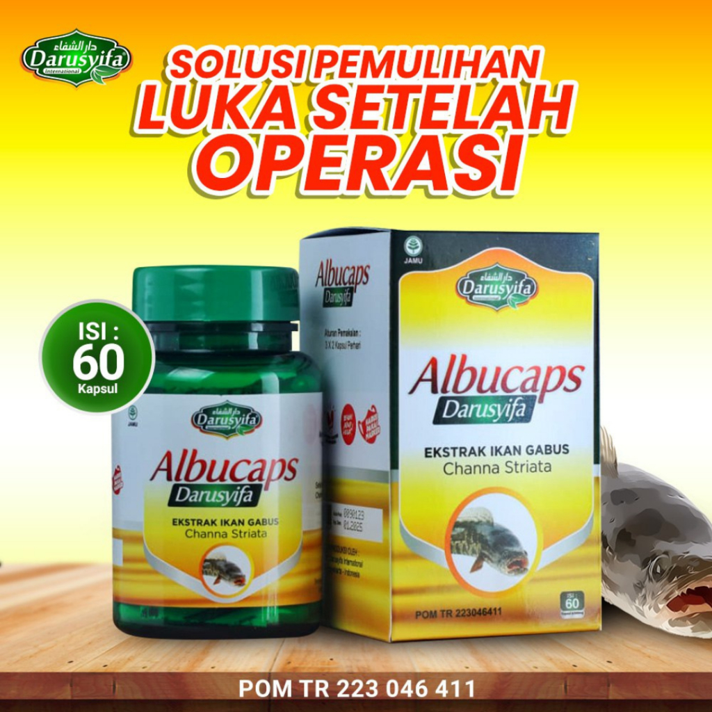 ALBUCAPS Darusyifa - Kapsul Ekstrak Ikan Gabus Channa Striata 60 Kapsul