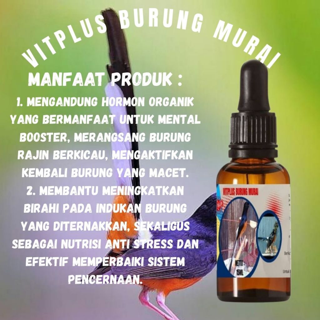 Vitamin murai Agar Gacor / Vitamin Burungmurai / Vitamin Burung murai Biar Gacor / Vitamin Gacor mur