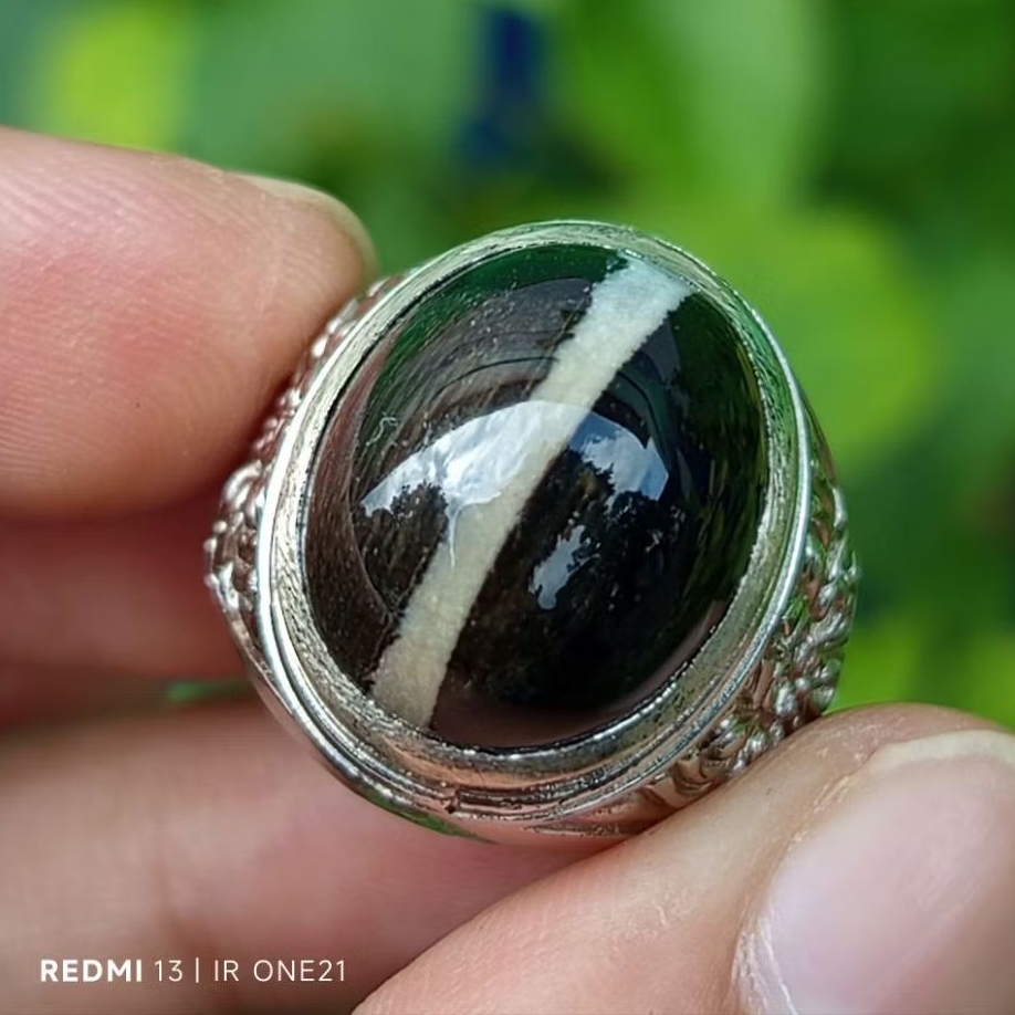 Batu Akik Kendit Fosil Kelor