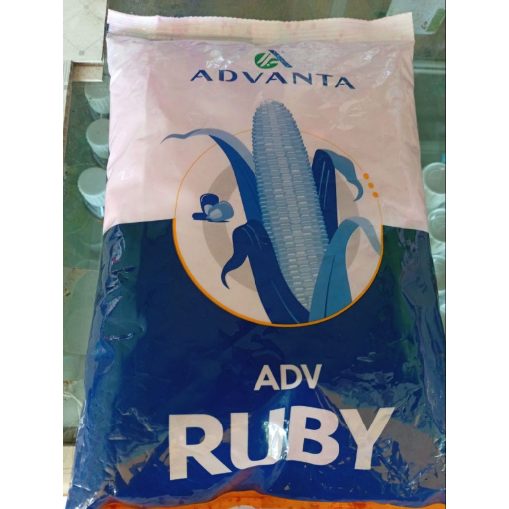 BENIH JAGUNG ADV RUBY 1 KG