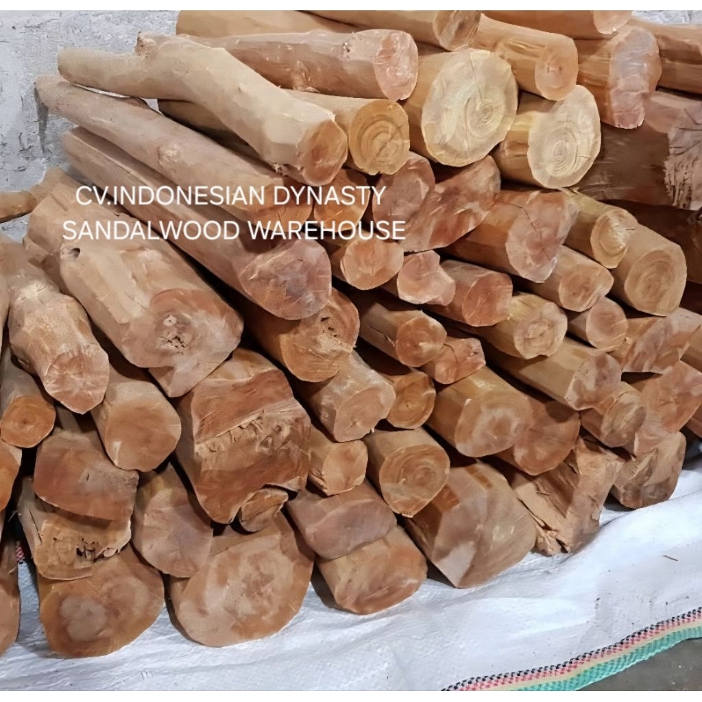 KAYU CENDANA NTT KUALITAS  GALIH MURNI