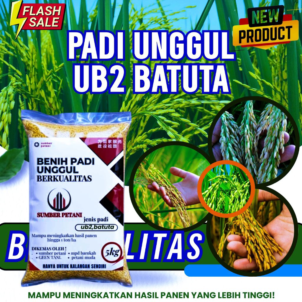 Benih padi UB2 BATUTA KEMASAN 5kg