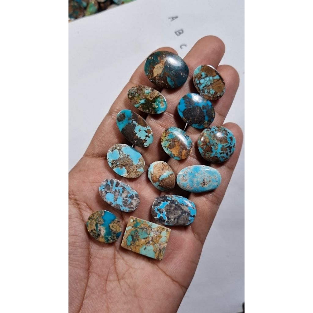 natural pirus persia borongan paketan