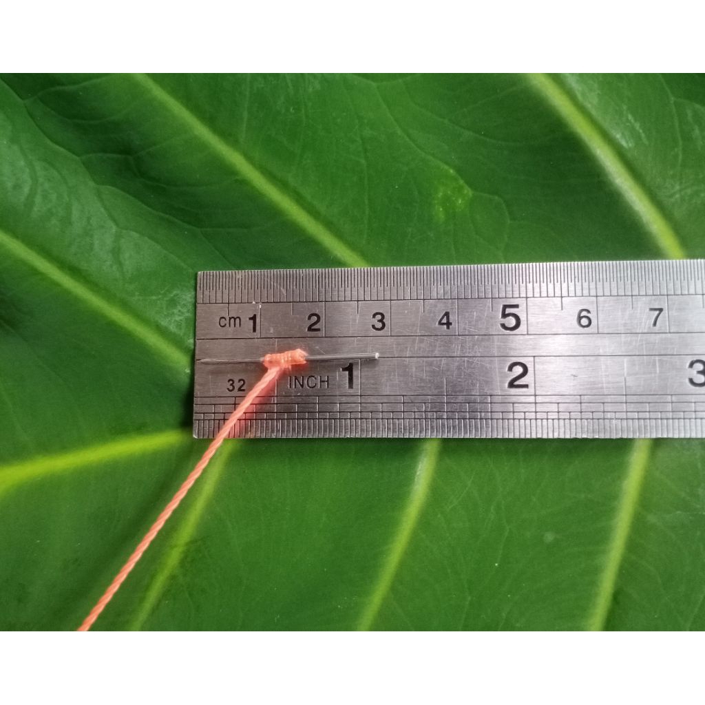 PROMO Urek/pancing belut model palang SIBUHUN