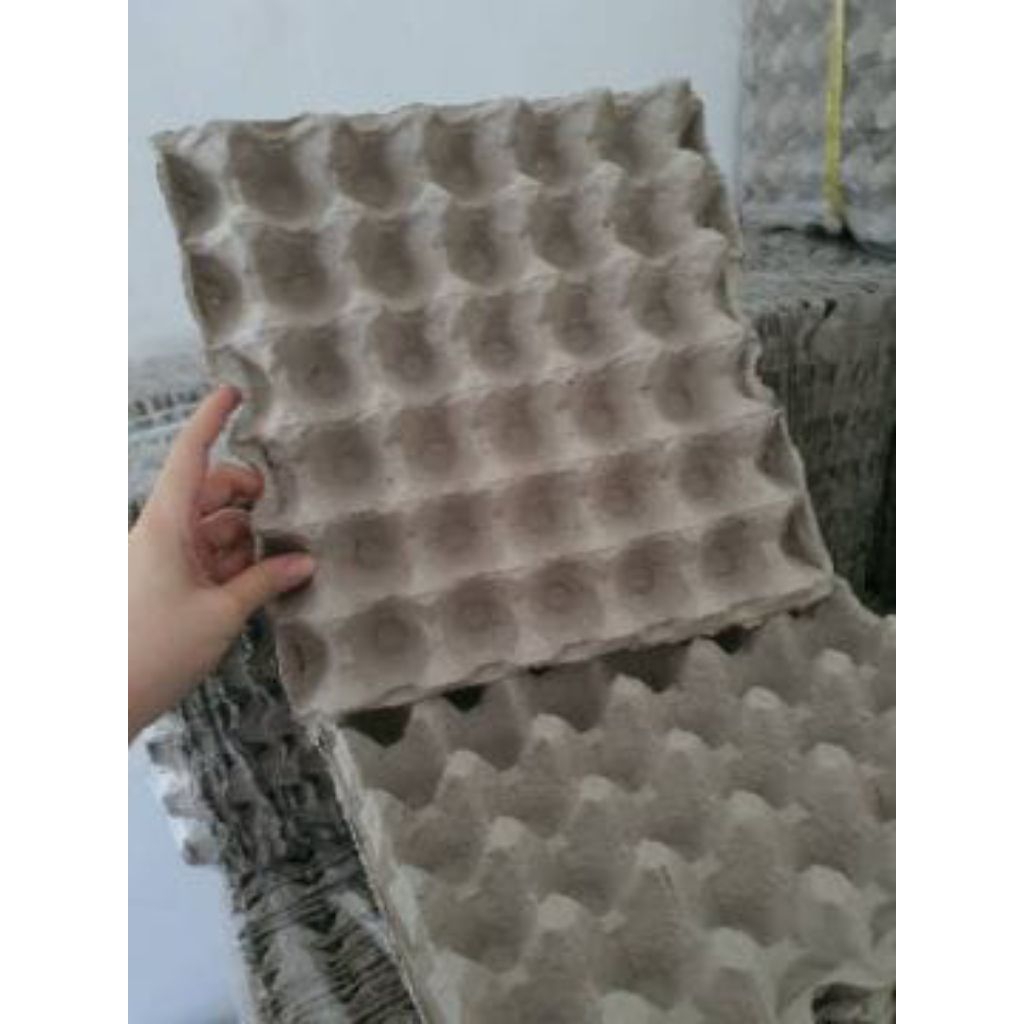 Egg tray karton 30 butir ,tempat telur ayam /bebek