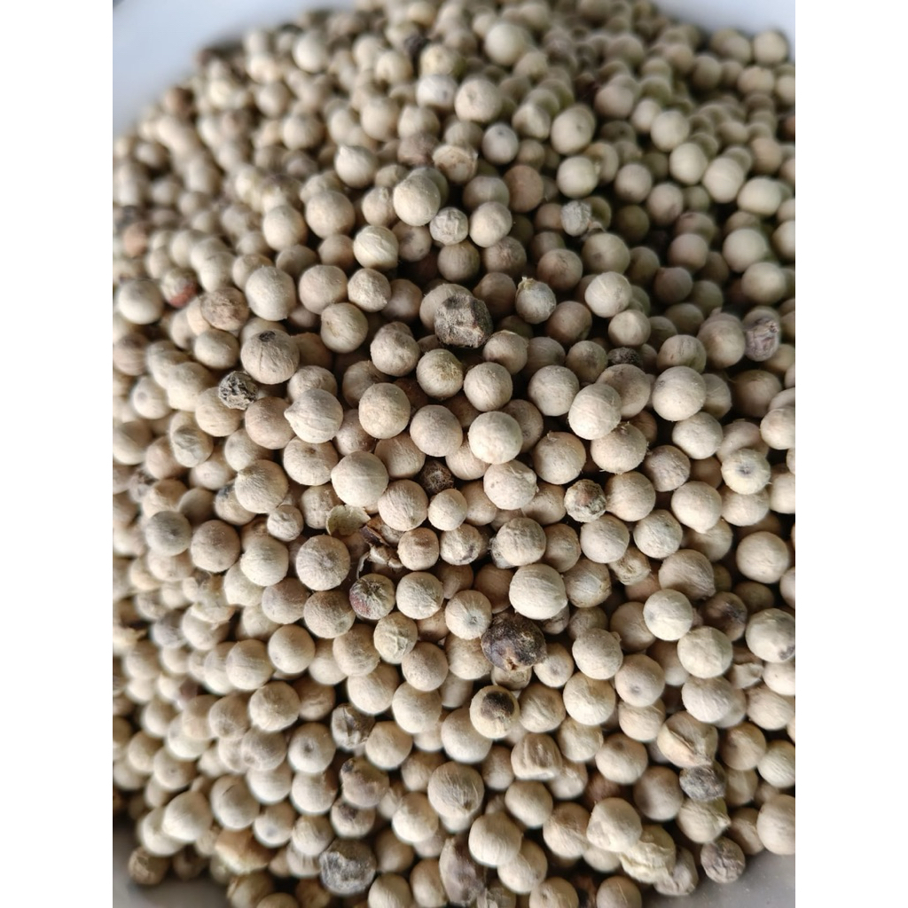 Merica Butir Pedas 1kg