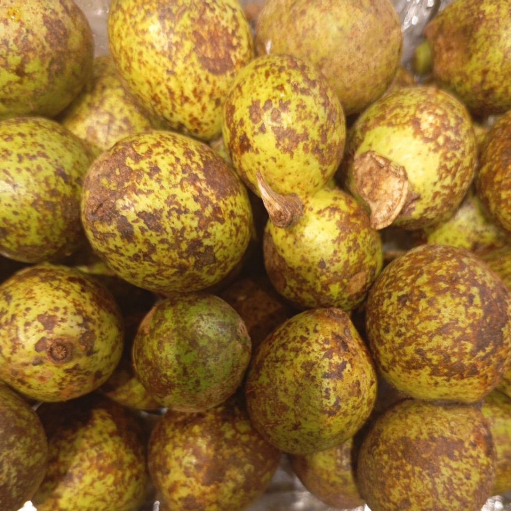 Matoa Buah segar 1kg/1000 gram