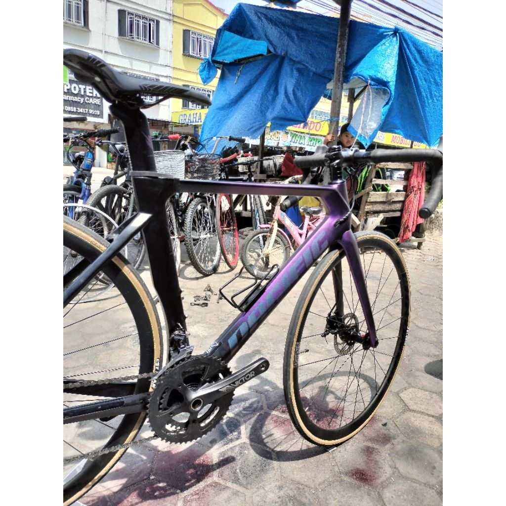 sepeda roadbike pacific magnus carbon