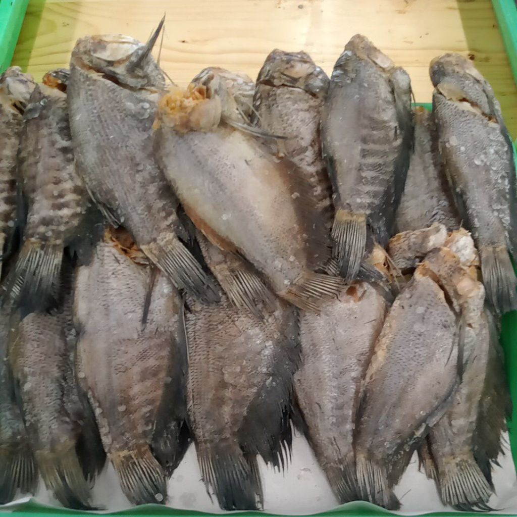 Cumi Telur Ikan Asin 250 Gram - Tanpa Pengawet Kimia, Segar, Premium