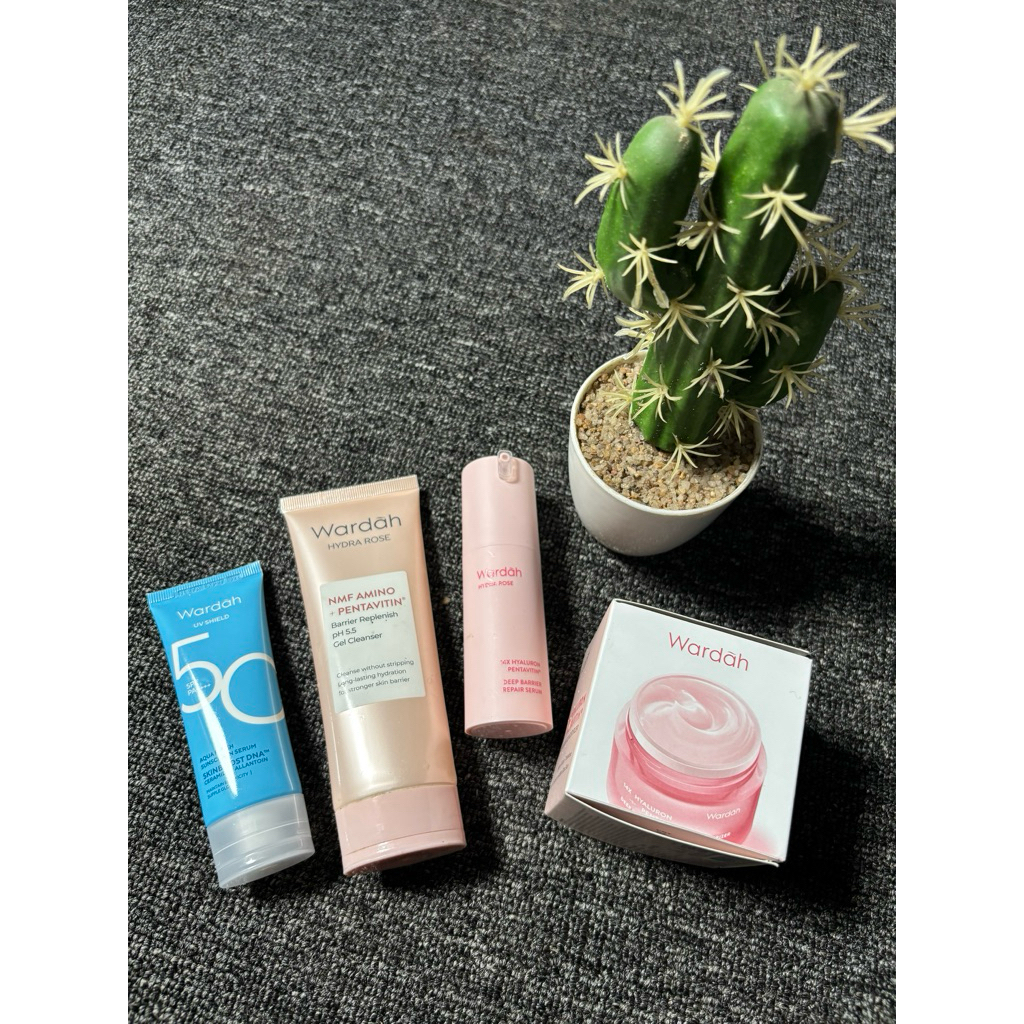 Paket Skincare Wardah