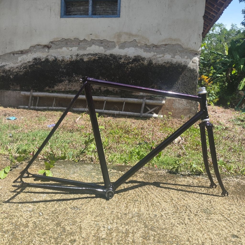 Frameset fixie classic GOLDENHERO fork model akisu